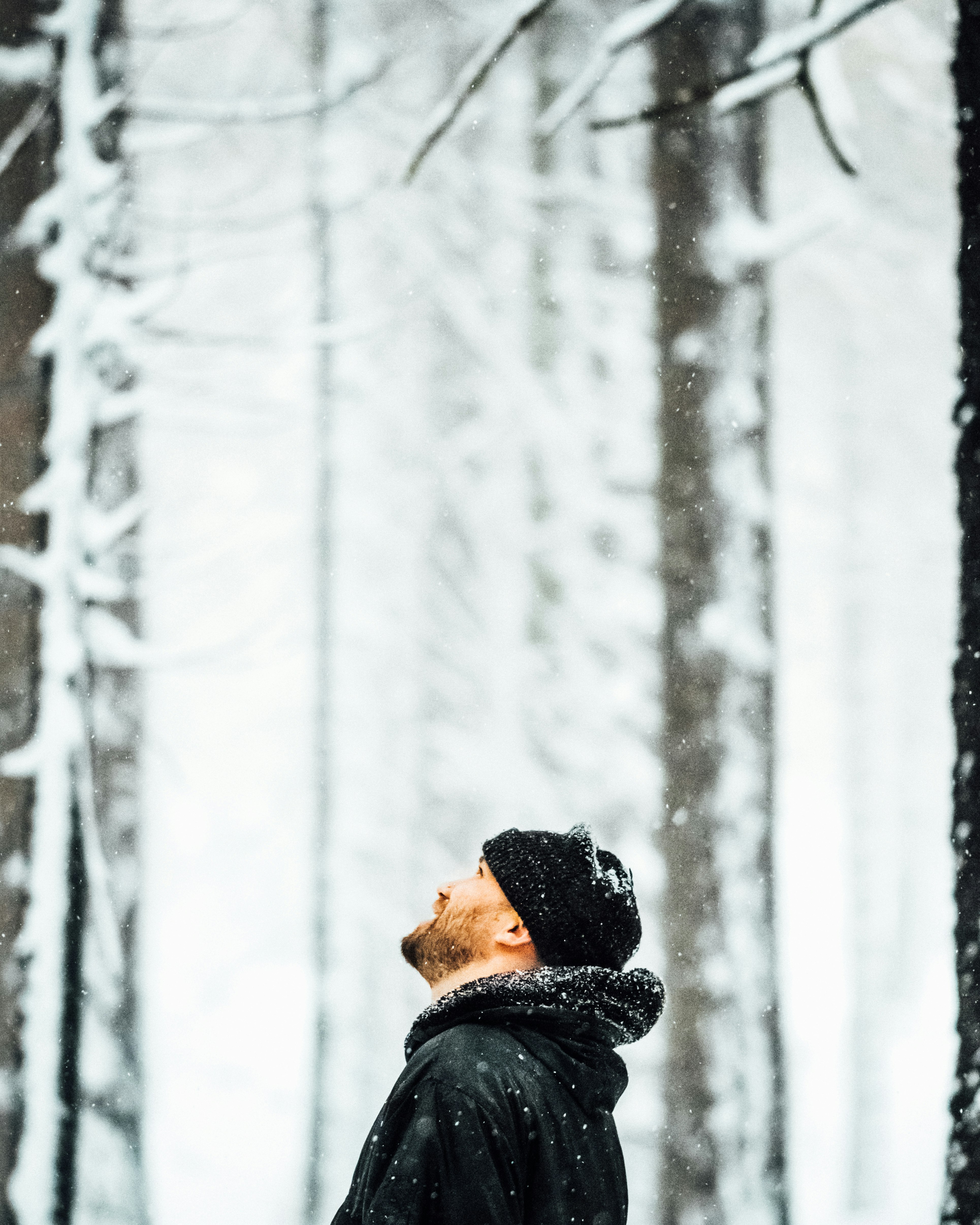 man standing under tree covered with snow